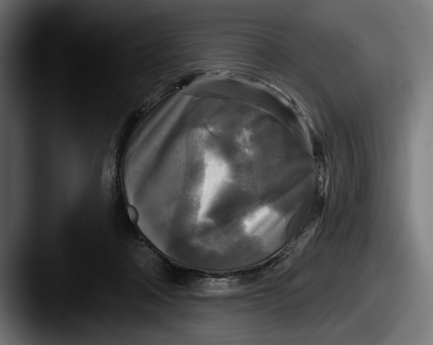 X0000087510314200705180959