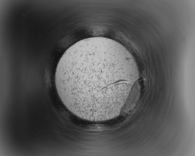 X0000087510316200705180959