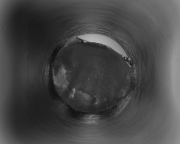 X0000087510319200705180959