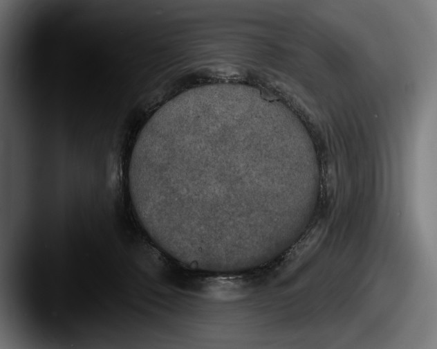 X0000087510320200705180959
