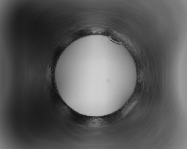 X0000087510321200705180959