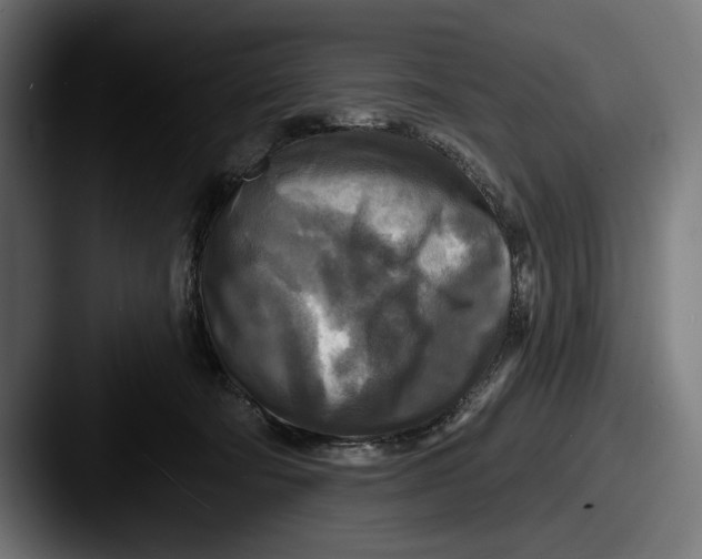 X0000087510322200705180959