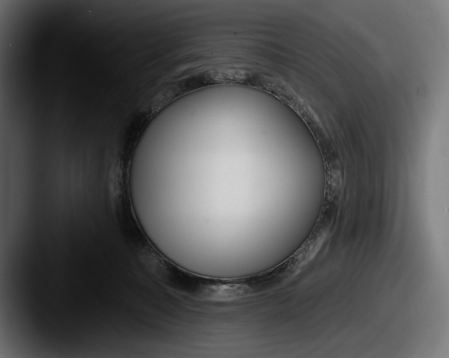 X0000087510323200705180959