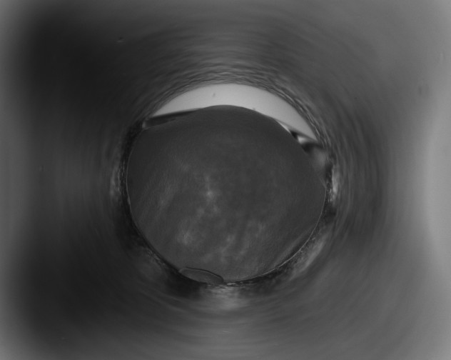 X0000087510325200705180959