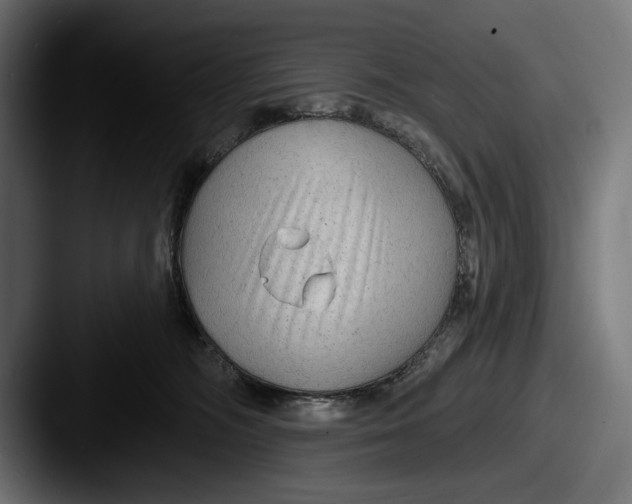 X0000087510326200705180959