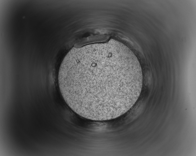 X0000087510328200705180959