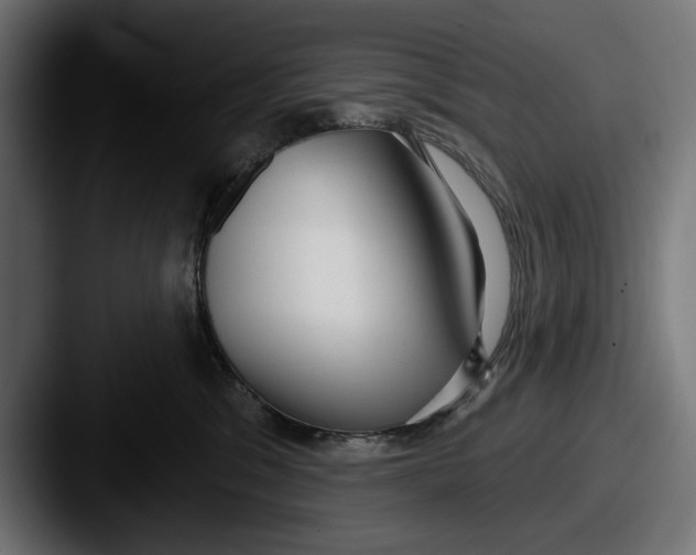 X0000087510329200705180959