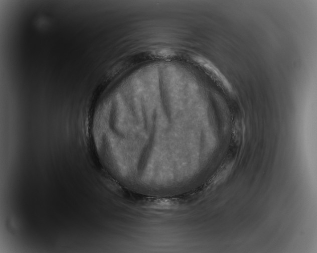 X0000087510330200705180959