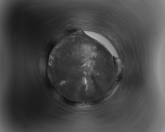 X0000087510331200705180959