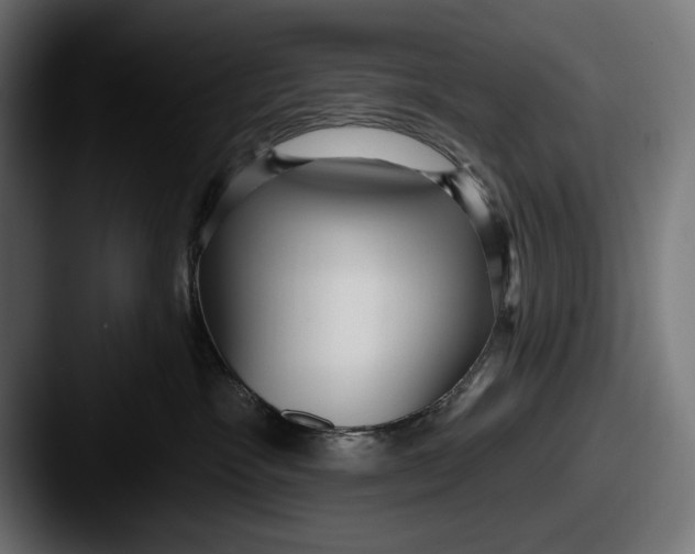 X0000087510333200705180959