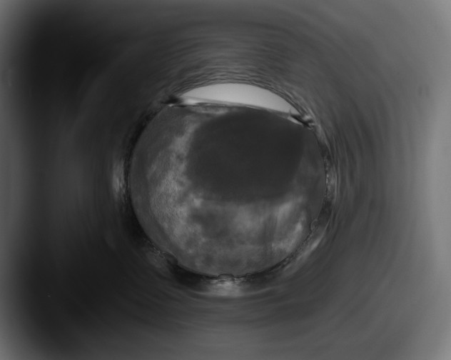 X0000087510335200705180959