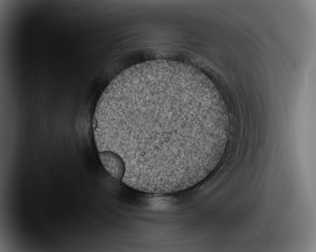 X0000087510336200705180959
