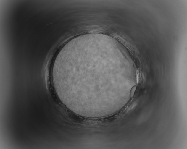 X0000087510339200705180958