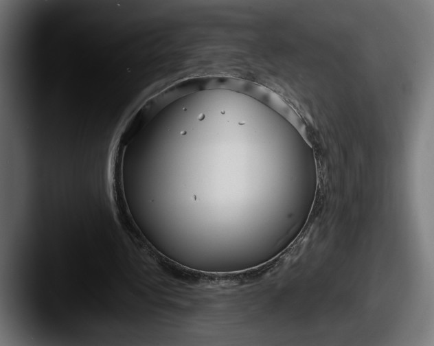 X0000087510340200705180958