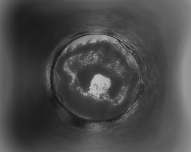 X0000087510341200705180958