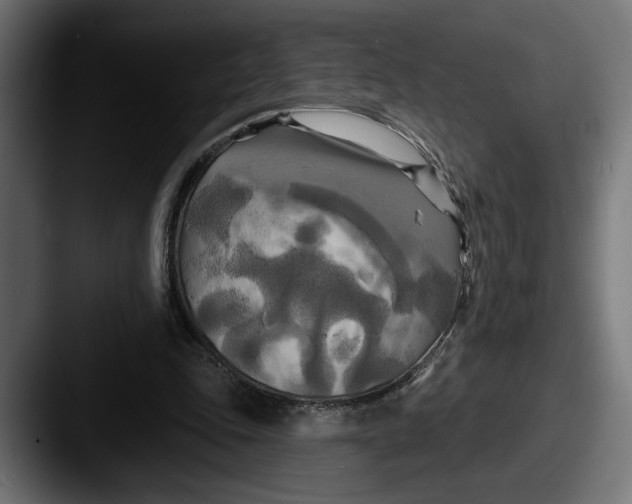X0000087510343200705180958