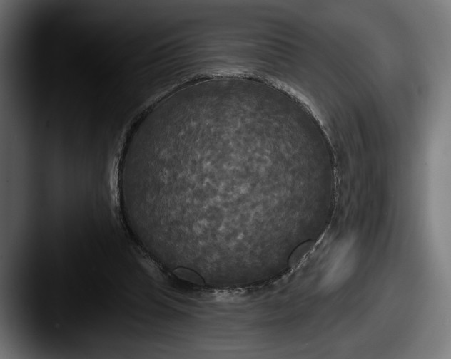 X0000087510345200705180958