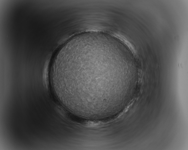 X0000087510346200705180958