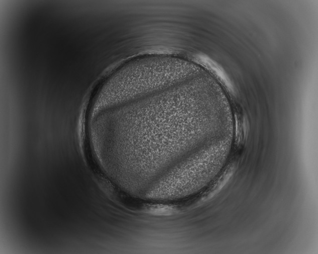 X0000087510348200705180958