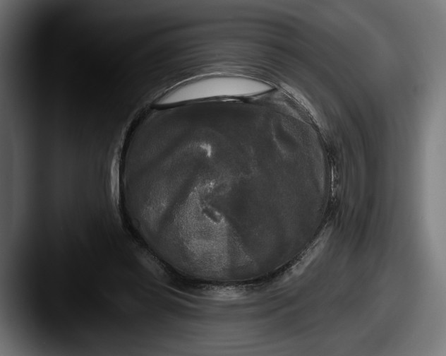 X0000087510349200705180958