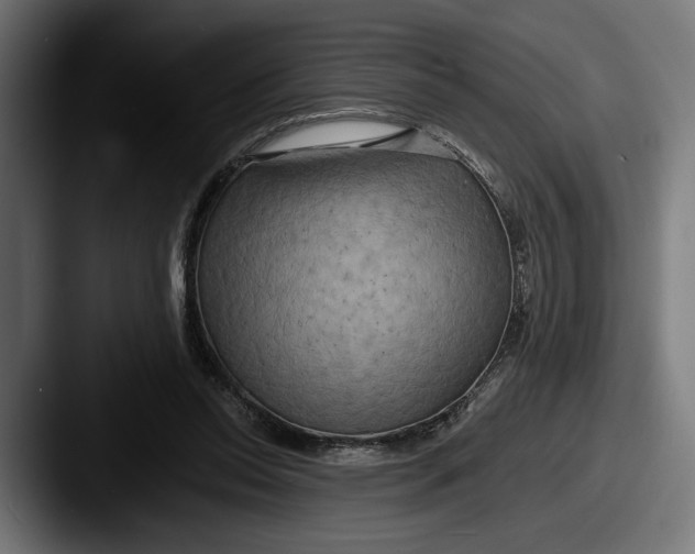 X0000087510350200705180958
