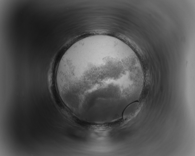 X0000087510351200705180958