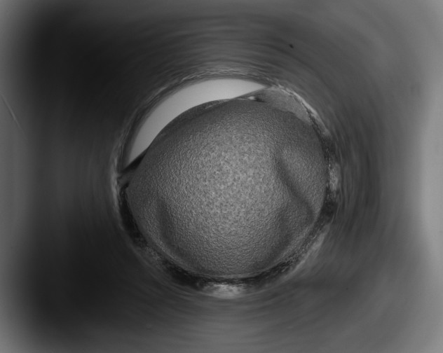 X0000087510352200705180958