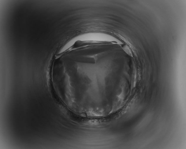 X0000087510353200705180958
