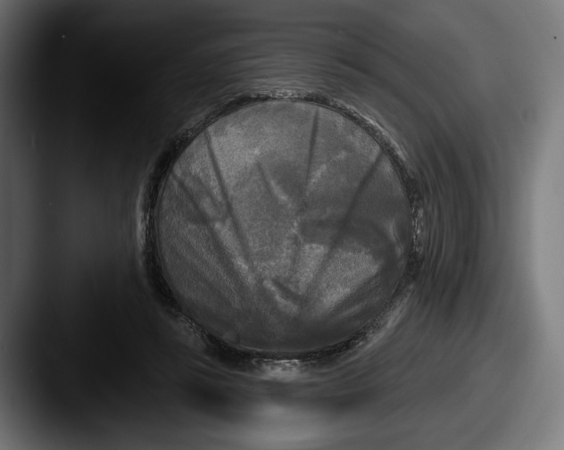 X0000087510355200705180958