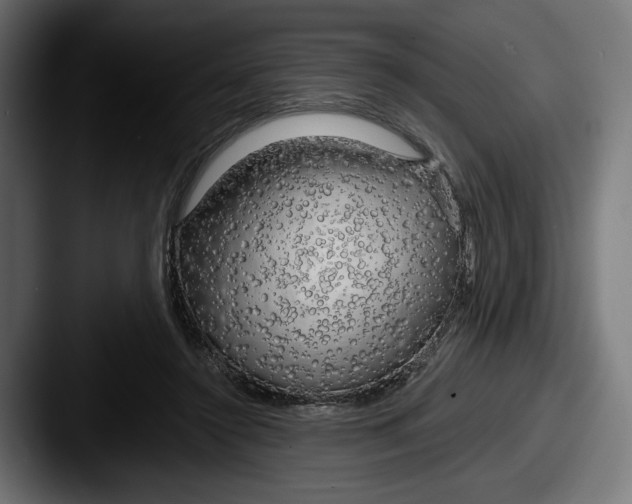 X0000087510356200705180958