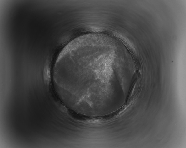 X0000087510358200705180958