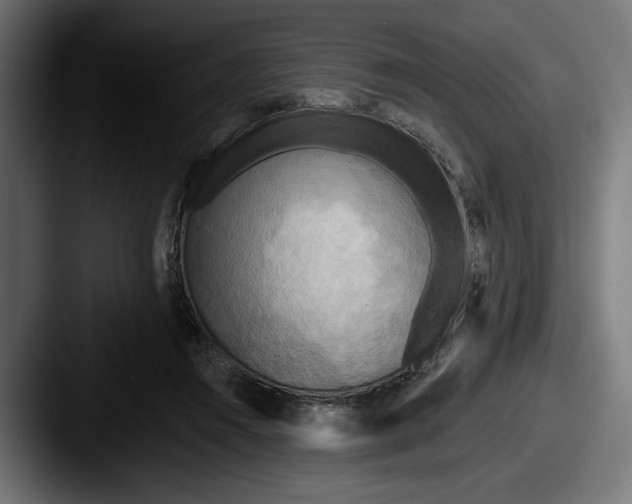 X0000087510360200705180958