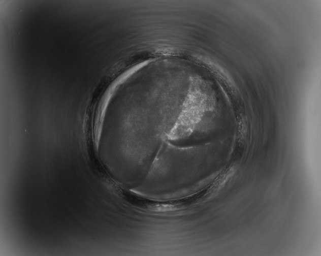 X0000087510361200705180958