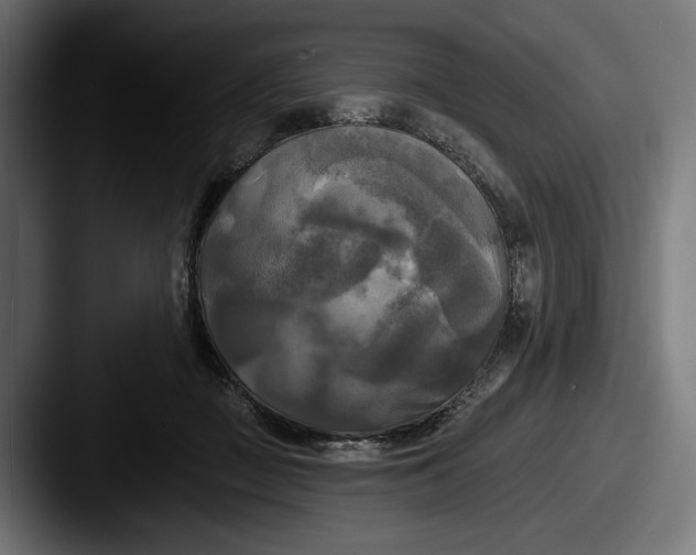 X0000087510363200705180958