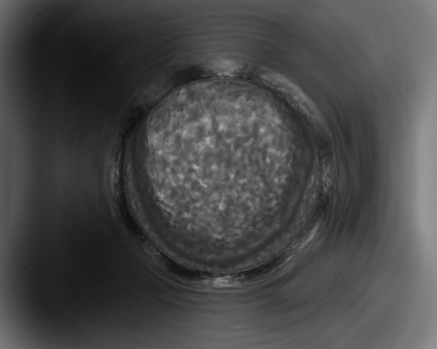 X0000087510365200705180958