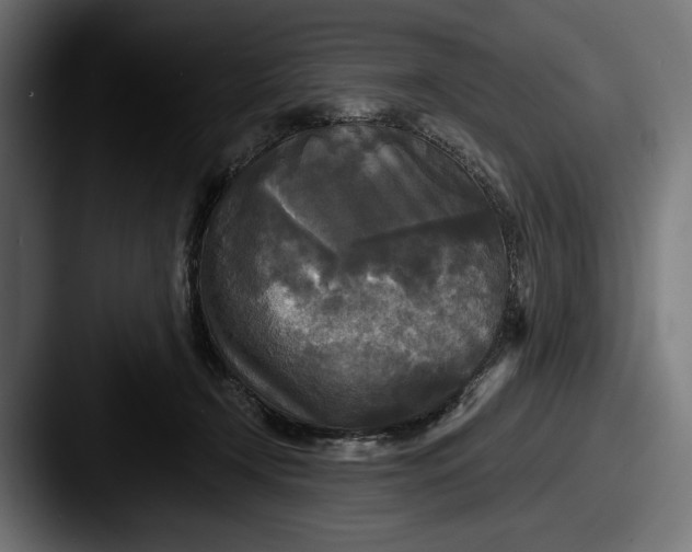 X0000087510366200705180958