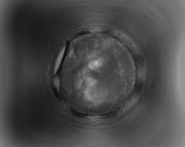 X0000087510367200705180958