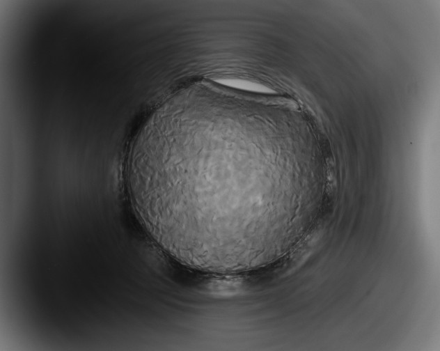 X0000087510369200705180958