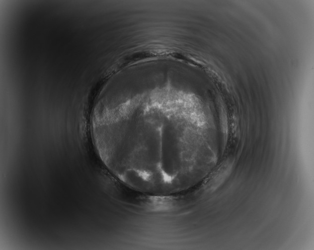 X0000087510371200705180958