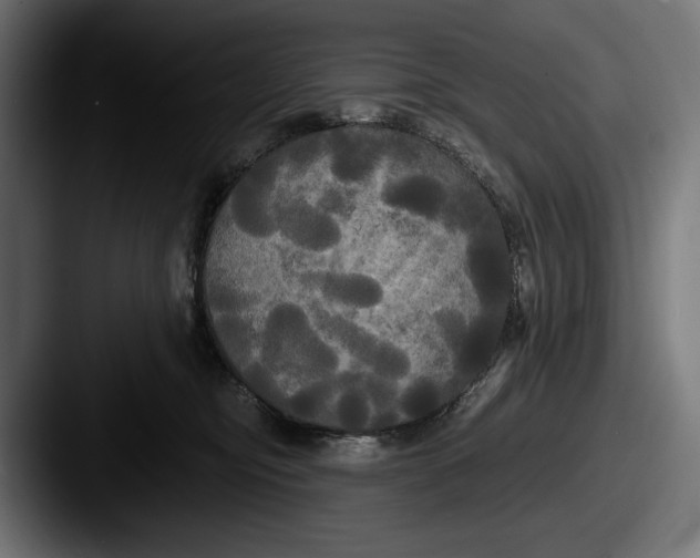 X0000087510374200705180958