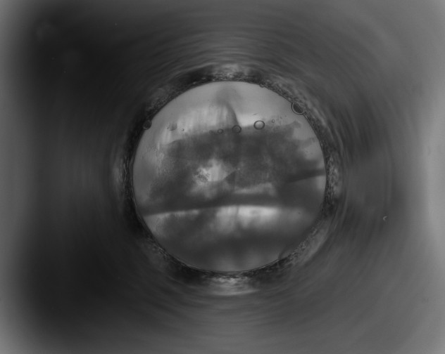 X0000087510375200705180958