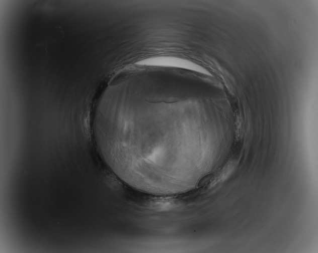 X0000087510377200705180959