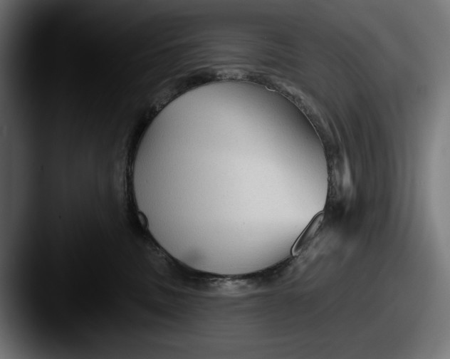 X0000087510379200705180959