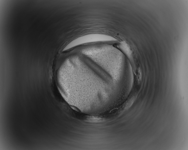 X0000087510380200705180959