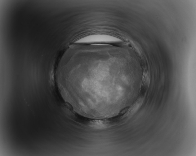 X0000087510381200705180959