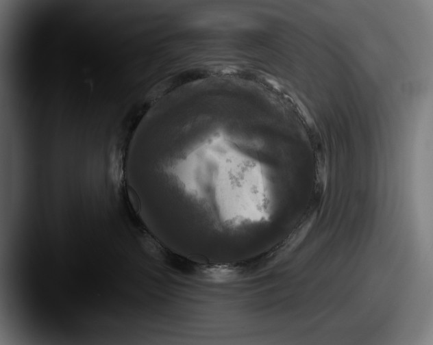 X0000087510383200705180959