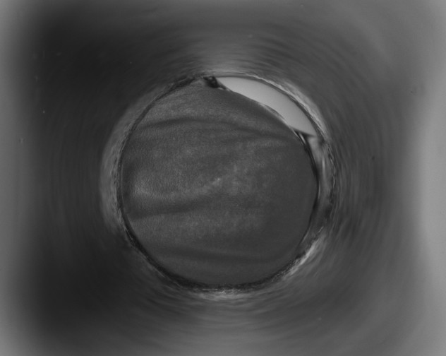 X0000087510385200705180958