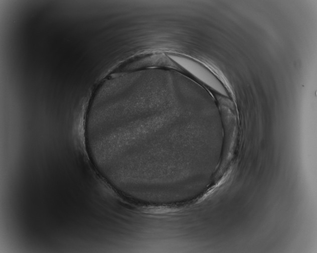 X0000087510389200705180958