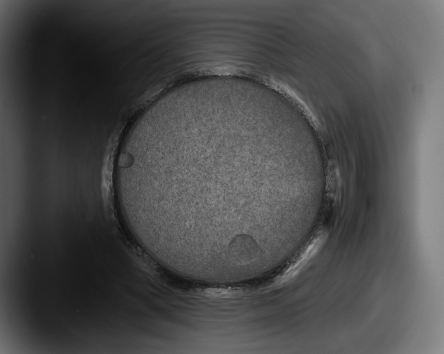 X0000087510394200705180958