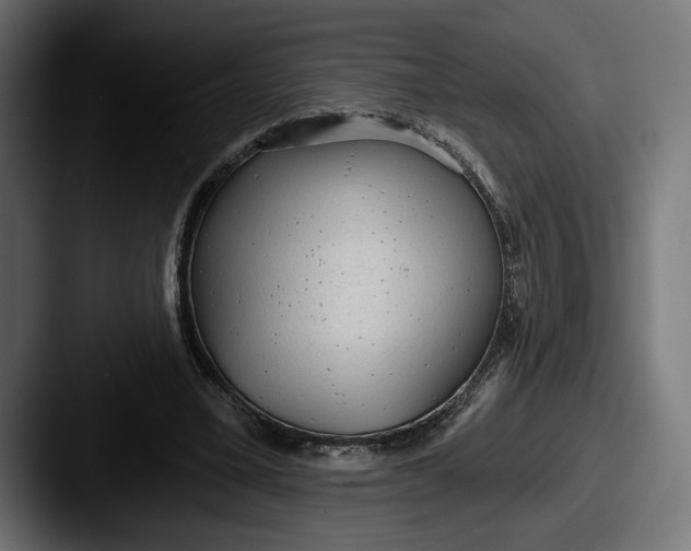 X0000087510395200705180958